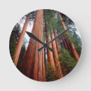 Search for old growth forest art California