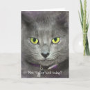 Search for cat face cards Funny