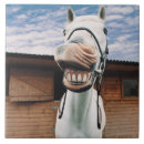 Search for wild west tiles Horse