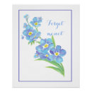 Search for forget me not flower posters Watercolor