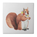 Search for squirrell tiles Forest