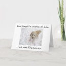 Search for thoughful cards Photography