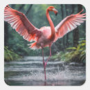 Search for bird flight stickers Wings