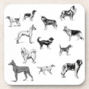 Search for breeds coasters German shepherd