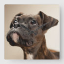 Search for curiosity art Dog