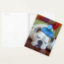 Search for english bulldog office supplies Animals