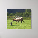 Search for outdoor canvas prints Wildlife