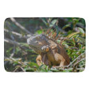 Search for exotic photography Wildlife