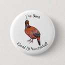 Search for bellies badges Bird