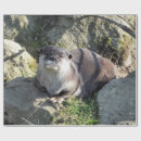 Search for asian wrapping paper Nature