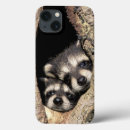 Search for racoon cases Furry