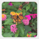Search for yellow butterfly stickers Garden