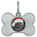 Search for photo pet tags Puppy