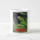 Search for iguana image Animals