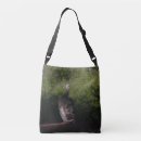 Search for turkeys bags Animal