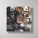 Search for artistic canvas prints Nature