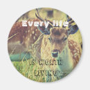 Search for cruelty magnets Vegetarian