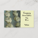 Search for cookies business cards Chocolate chip cookies