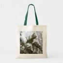 Search for evergreens bags Photography