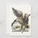 Search for waterfowl invitations Canada goose