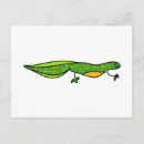 Search for pond life postcards Aquatic