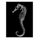 Search for scientific illustration posters Marine biology
