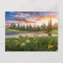 Search for anniversary state postcards Landscape
