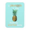 Search for pineapples magnets Food