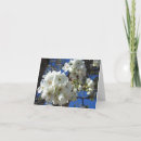 Search for pear tree cards Nature