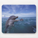 Search for habitat mousepads Ocean
