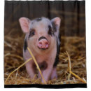 Search for cute pig shower curtains Funny
