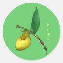 Search for yellow orchid stickers Flower