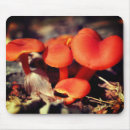 Search for fungi mousepads Nature