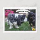 Search for fur postcards Dog
