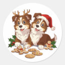 Search for shetland sheepdog stickers Herding dog