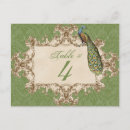 Search for reception table postcards Antique