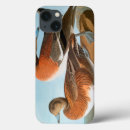Search for duck ipad cases Birds of america