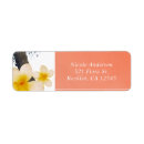 Search for plumerias return address labels Floral