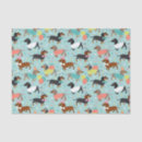 Search for dachshund tissue paper Birthday