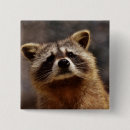 Search for curious badges Wildlife
