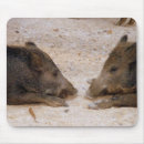 Search for boar mousepads Hog