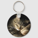Search for grey tabby cat key rings Animal
