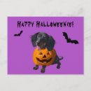 Search for dachshund dog postcards Halloween