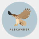 Search for red tails stickers Birds of prey