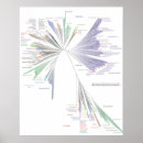 Search for biology chart Science