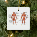 Search for anatomy christmas tree decorations Doctor