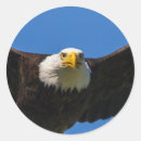 Search for close stickers Flight