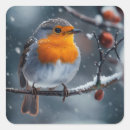 Search for robin bird stickers Winter