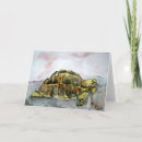 Search for desert turtle Watercolor