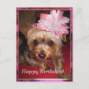 Search for yorkie birthday cards Animals
